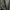 Stussy Indie Minimalist Casual pants Pria white black photo 5