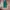 Casual High waisted jeans Wanita green photo 3