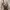Vintage Streetwear Short Pria green brown photo 6