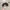 Obey Skater Hat Pria black photo 3