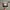 The Hundreds Streetwear Hat Pria multicolor photo 1