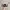 The Hundreds Streetwear Hat Pria multicolor photo 3