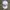 Nike Vintage Hat Pria white photo 2