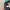 Nike Vintage Hat Pria black photo 6