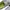 Guess Streetwear Casual Sneakers Wanita white green photo 6