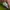 Guess Streetwear Casual Sneakers Wanita white green photo 7