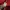 Lacoste Streetwear Casual Sweatshirt Pria red photo 4