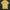 Polo Ralph Lauren Casual Polo Shirt Pria Yellow