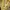 Polo Ralph Lauren Casual Polo shirt Pria yellow photo 6