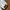 MLB Streetwear Sportswear Windbreaker Pria white photo 6