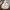 MLB Streetwear Sportswear Windbreaker Pria white photo 2