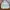 MLB Streetwear Sportswear Windbreaker Pria white photo 7