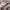 Pull & Bear Streetwear Casual Crossbody Bag Wanita tan photo 4