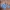 Omighty Y2K Crop Top Wanita Blue