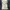 Canterbury Casual Short Pria navy photo 4