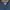 Carhartt Vintage Formal shirt Pria blue photo 4