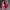 Nike Casual Sneakers Pria red photo 4