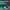 New Balance Casual Sneakers Pria green blue photo 3