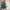 Fjällräven Minimalist Futurist Backpack Wanita green photo 1
