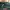 Fjällräven Minimalist Futurist Backpack Wanita green photo 3