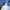 Nike Streetwear Casual Polo shirt Pria blue photo 5
