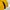 Nautica Sportswear Casual Windbreaker Pria multicolor yellow photo 6