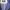 Comme Ca Collection Casual Windbreaker Pria navy photo 4