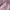Uniqlo Casual Sweater Pria Purple