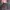 Gorpcore Casual Track jacket Pria green red photo 2