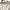 Jil Sander T-shirt Pria white photo 6