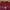 Guess Casual T-shirt Pria burgundy photo 2
