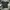 Y2K Grunge T-shirt Pria black photo 2