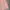 Feltics Casual Track jacket Pria pink photo 2