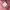 Feltics Casual Track jacket Pria pink photo 8