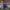 Adidas Streetwear Gorpcore Windbreaker Pria Purple Blue