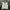 Asics Streetwear Y2K Track jacket Pria white photo 3