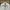 Asics Vintage Streetwear Track jacket Pria white photo 4