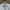 Champion Vintage Streetwear Track jacket Pria cream photo 4