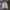 Champion Vintage Streetwear Track jacket Pria silver photo 1