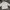Ellesse Streetwear Y2K Track jacket Pria cream photo 3