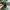 Sportswear Sweatpants & Joggers Pria green photo 3