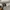 Dickies Casual Sweater Pria gray photo 4