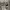 Dickies Casual Sweater Pria gray photo 3
