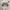 Alstyle Streetwear Hat Pria multicolor photo 3