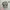 Alstyle Streetwear Hat Pria multicolor photo 2