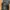 ZARA Streetwear Jeans Pria black photo 5