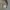 Carhartt Streetwear Bag Pria gray photo 4