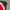 Fila Sportswear Windbreaker Pria white red black photo 1