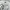 New Era Vintage Sportswear T-shirt Pria white photo 4