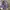 Gorpcore Sportswear Bag Pria purple photo 3